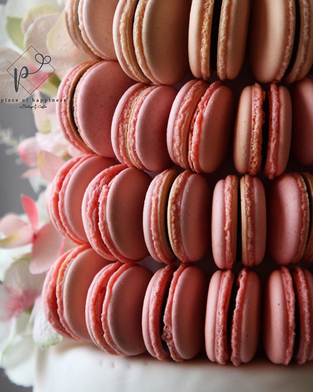 P A S T E L ‏#macarons #macaronage #darkchocolate #cakedecorating #pistachiocake #ordernow
