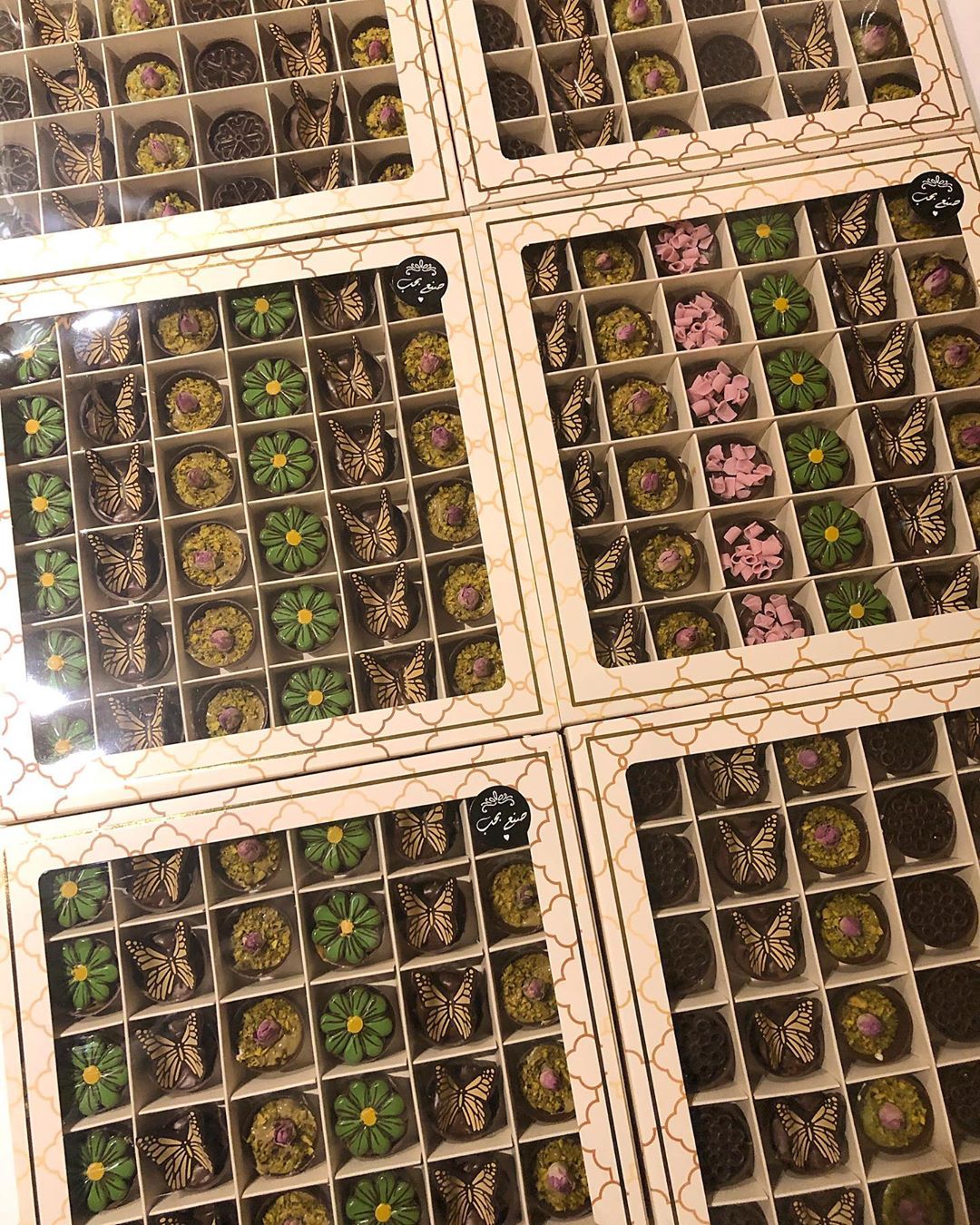 2206138936907462893_