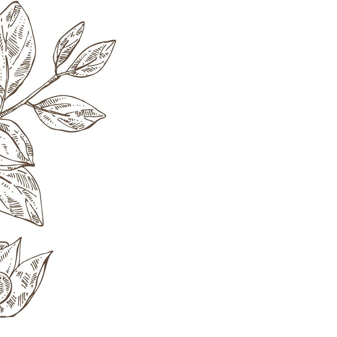 2129173842243967313_
