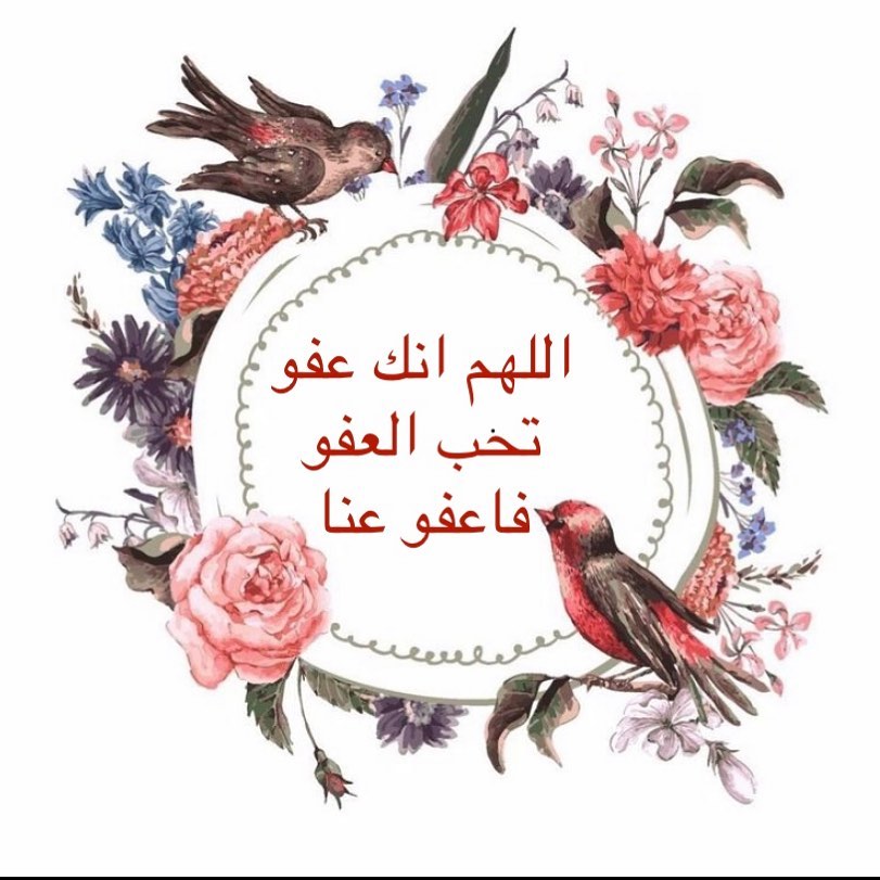 سيتم التوقف الطلبات فقط بالدمام وكل عام وانتم بخير