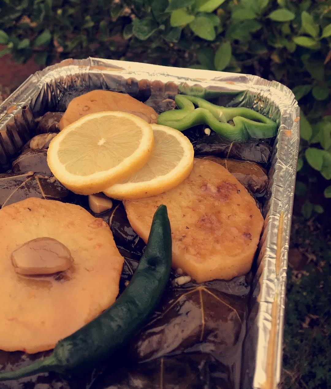 ورق عنب مافي منّه لطلب التواصل واتساب