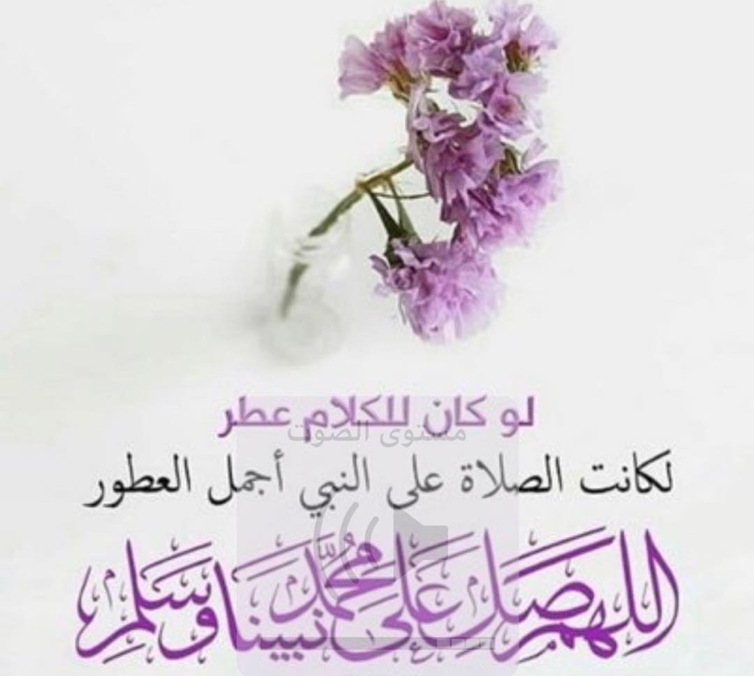 #الذ كشري #كشري ام عبدالله