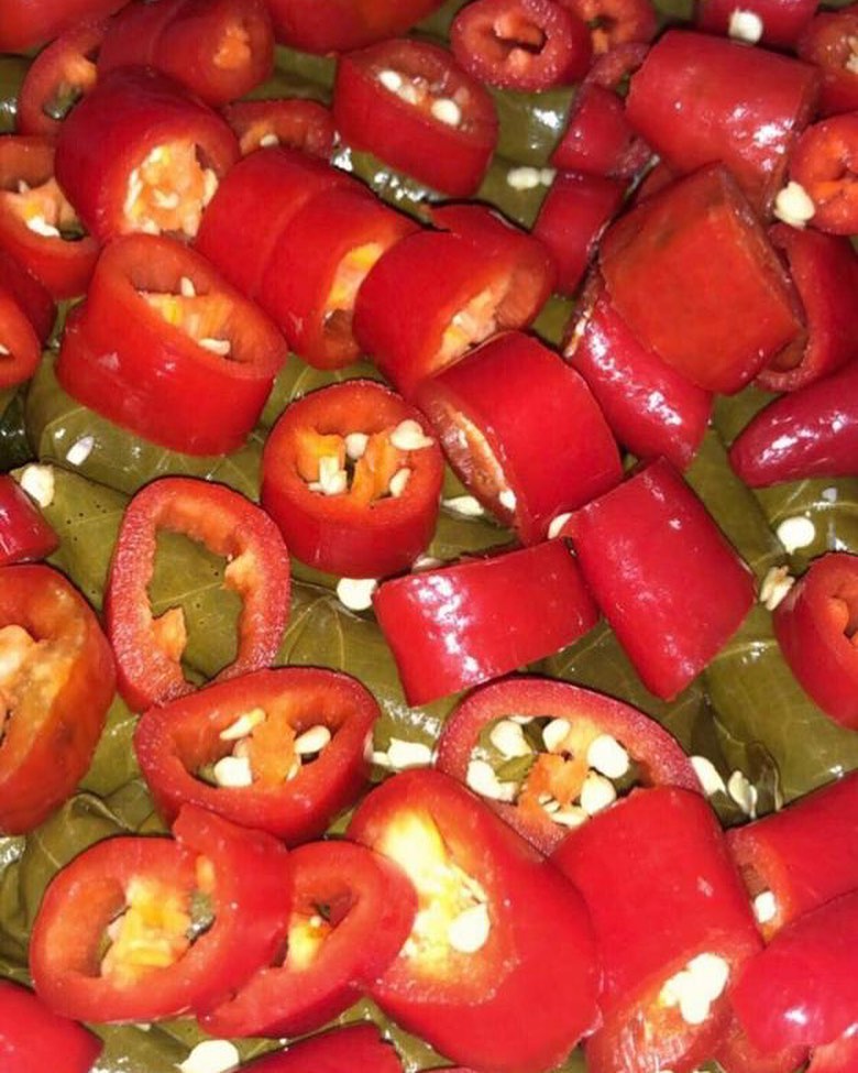 ☘️ورق عنب ام ناصر بأجود المكونات يطبخ يومياً طازجوع حسب الطلب بدبس الرمان وصوص السبايسي #ص