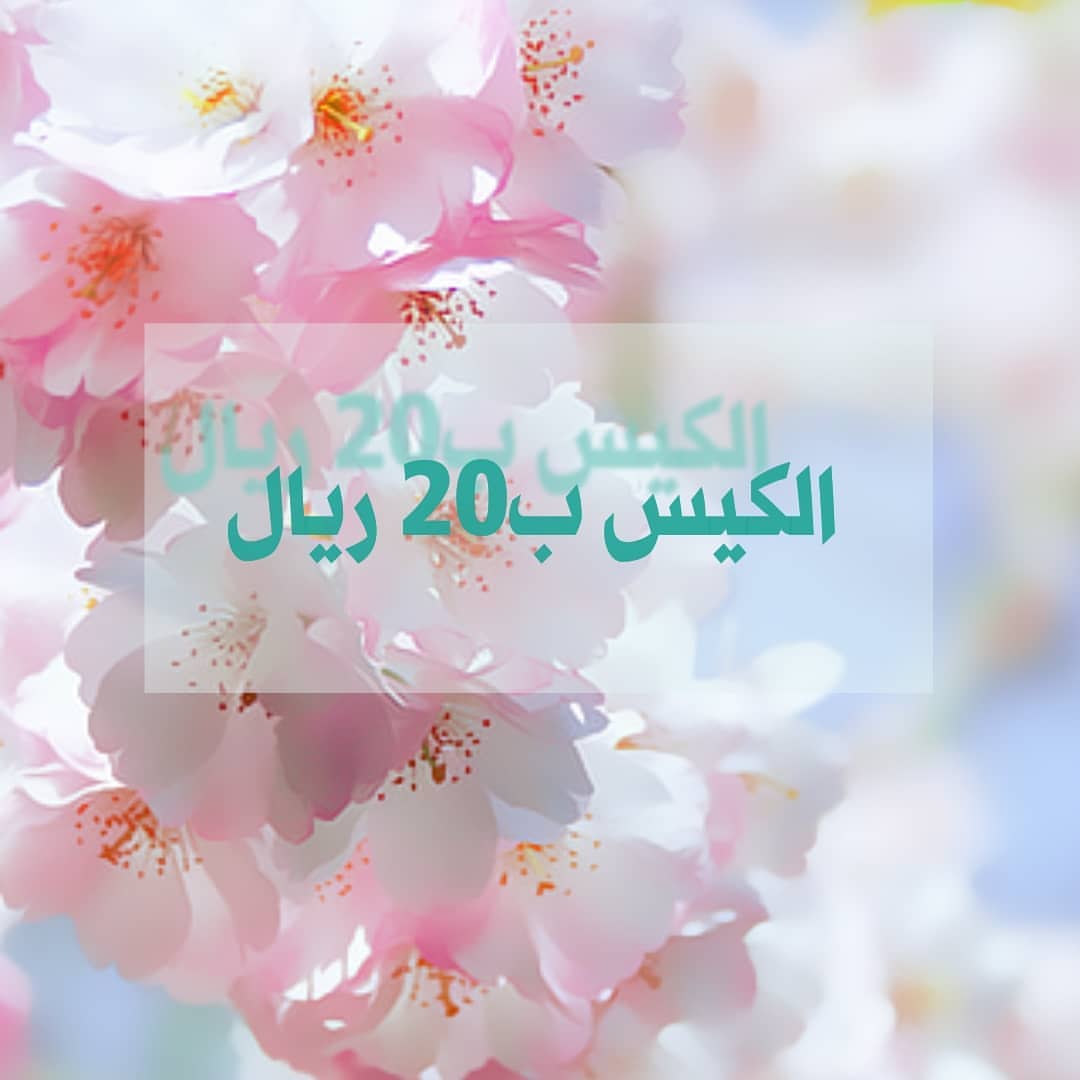 الكيس ب٢٠ ريال والتوصيل ب٢٠ ريال لأقل من ٥ اكياس ......لطلب واتس /