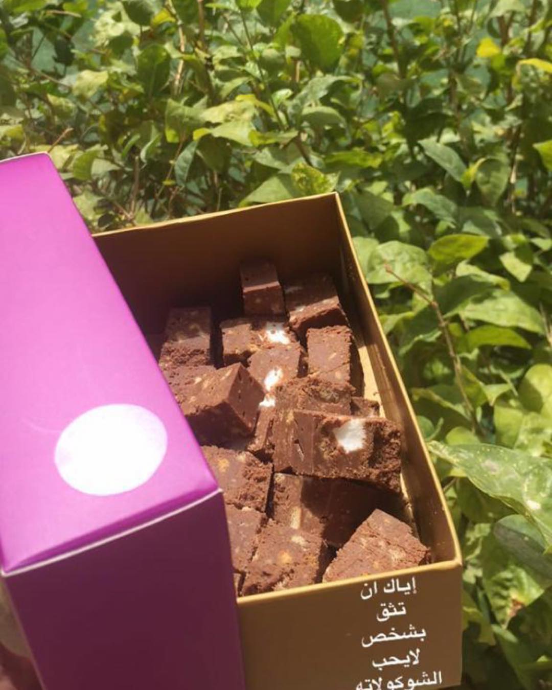 من تصوير الحلوات بالعافية