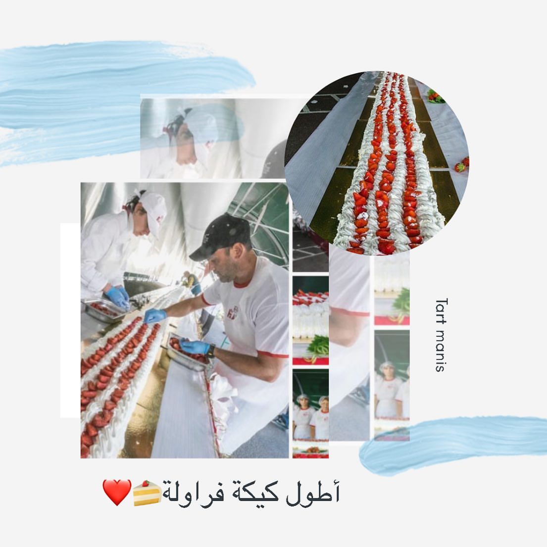 . . الاربعاء 21 يونيو 2017 - 3:13 مساء، كتب حسام عبد الشافى . باستخدام 720 بيضة و27 كيلو م