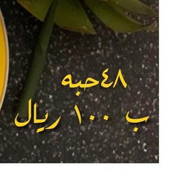 لرؤية الحلا الجديد .. حلا اللاتيه ادخلو حسابنا