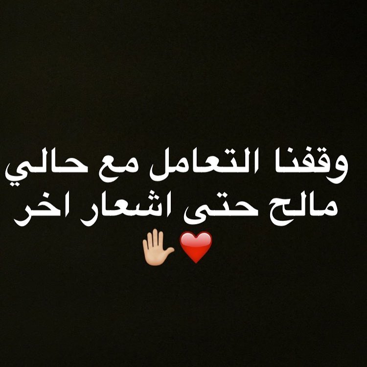 صينيه زواجات ومناسبات ٤٠٠ مكوناتها ((ورق عنب -ملفوف-كبه- ميني برقر-شورما - كرسان جبنه-فطاي