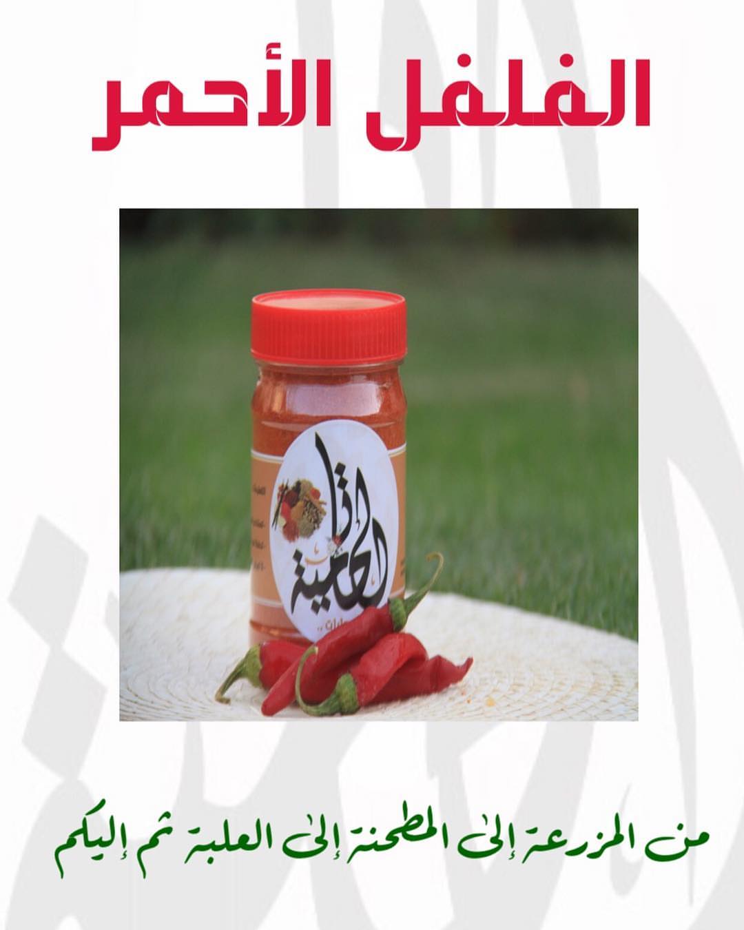 صرار حايل بإشراف جيد