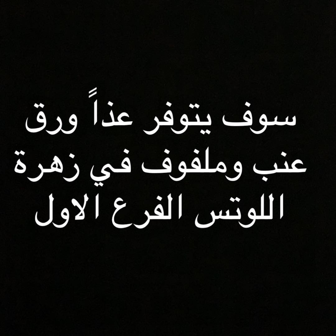 متوفر الان ورق عنب وملفوف في زهرة اللوتس الفرع الاول