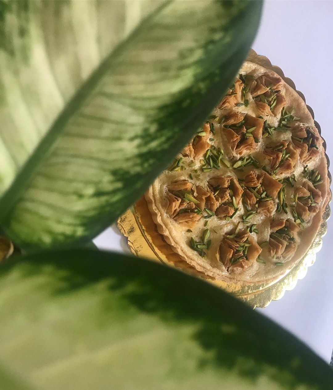 قطعة فنية لذيذة ✨ #بقلاوة #تارت