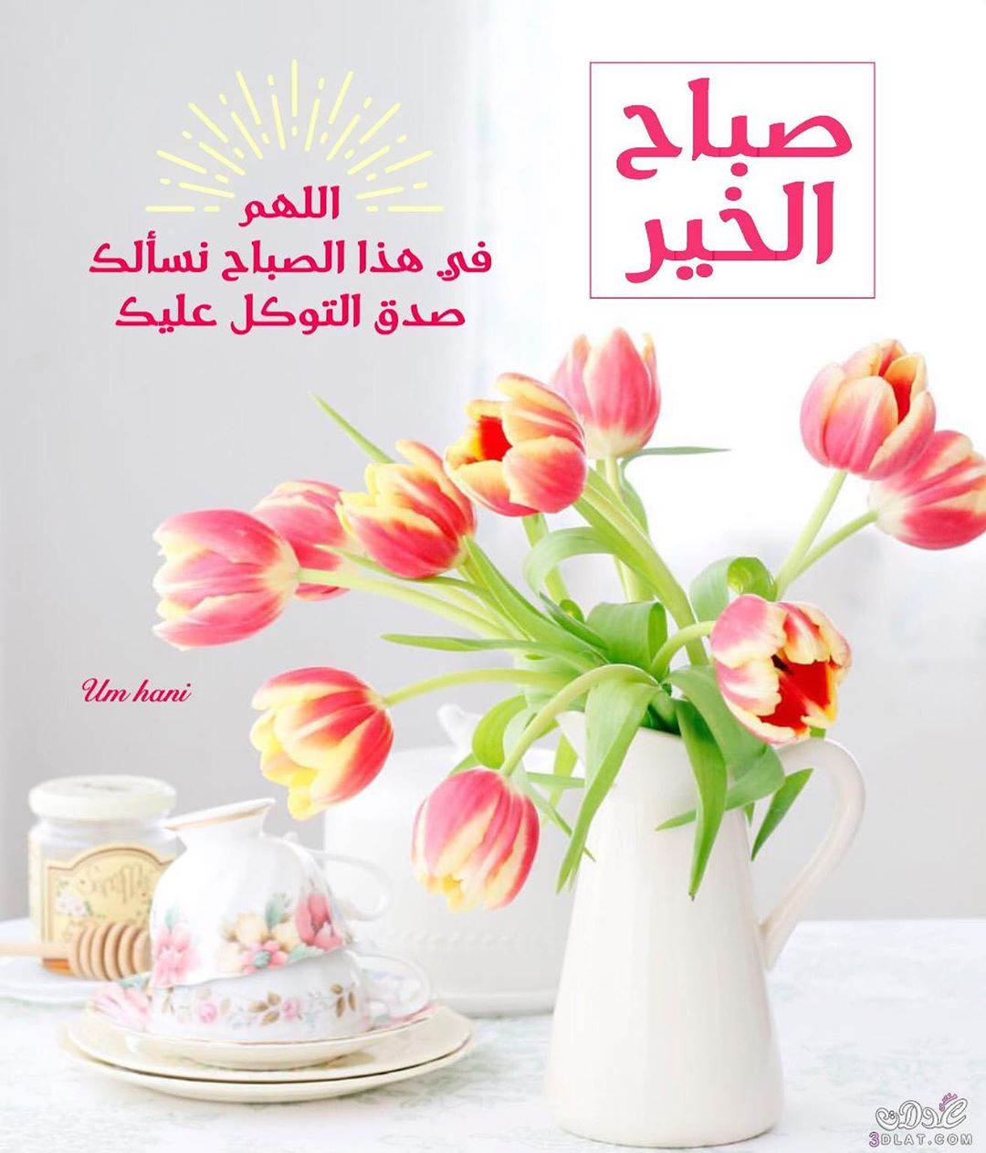 بسبوسة سادة✨لا تفوتك بسبوسة ميلّا.. . #بسبوسة#حلويات#حلى#لذيذ#بسبوسه_بالقشطه#بسبوسه_ساده