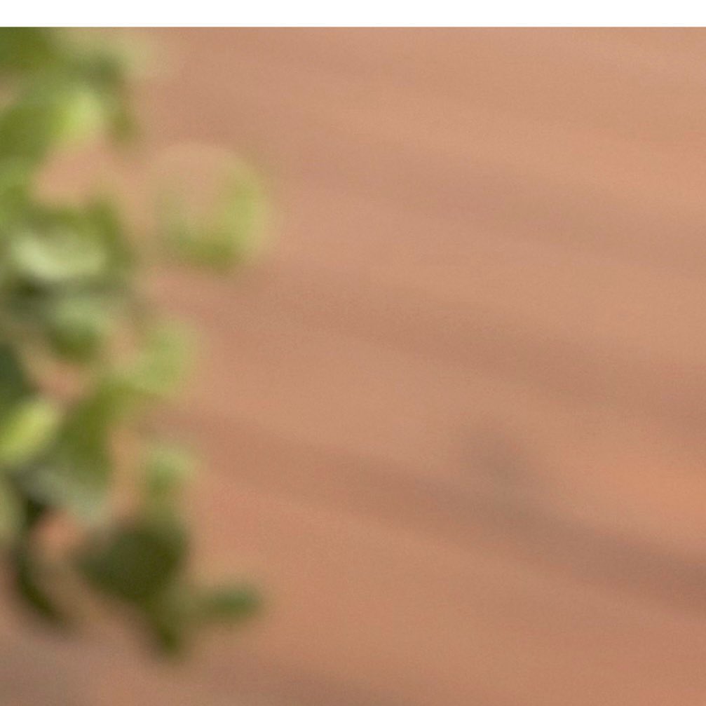 - صينية الخضروات مع الخبز - سلطة الفول السوداني . . . . . #غداء #غدا #غدانا #غداء_عمل #غدا