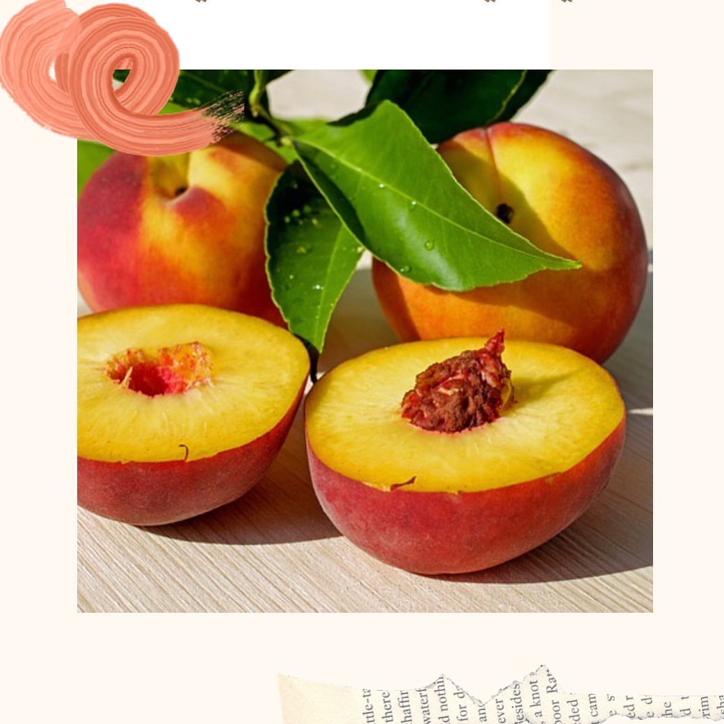 تُعدُّ فاكِهة الخوخ، أو البرقوق (بالإنجليزية: Plums)؛ إحدى الفواكه الصيفيّة التي تنتشر في