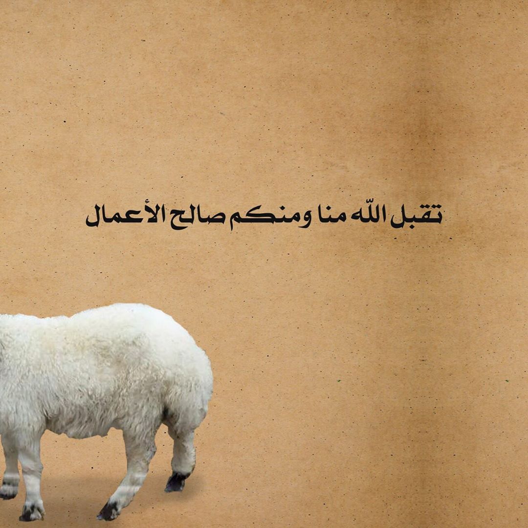 تقبل الله منا ومنكم صالح الأعمال حج مبرور وسعي مشكور وذنب مغفور #عيد_الاضحى