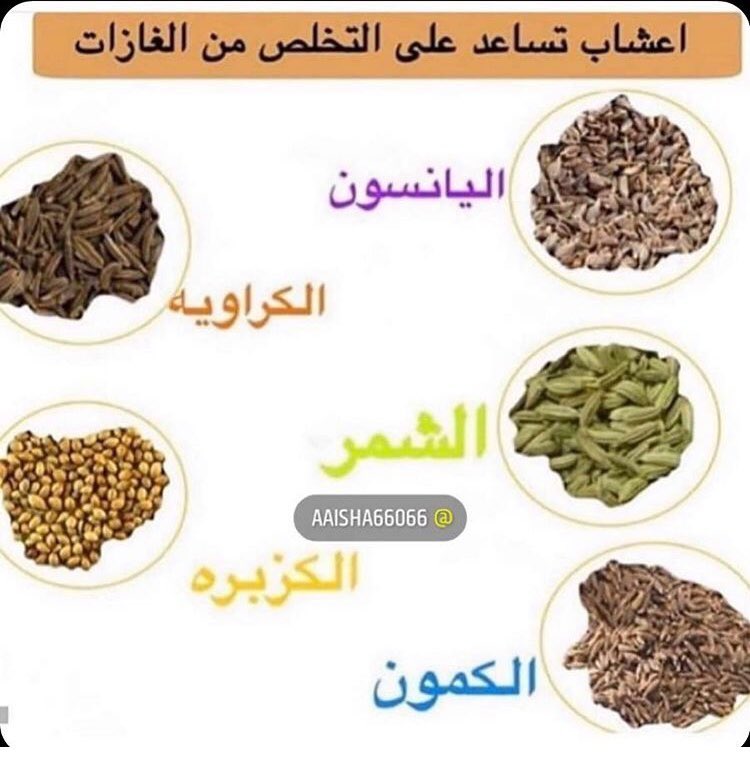 اطعم سناك وقت الحجر "شابورة اليانسون اللذيذة"✨✨ . . . . . . . #يانسون #شابورة #المدينة_ا