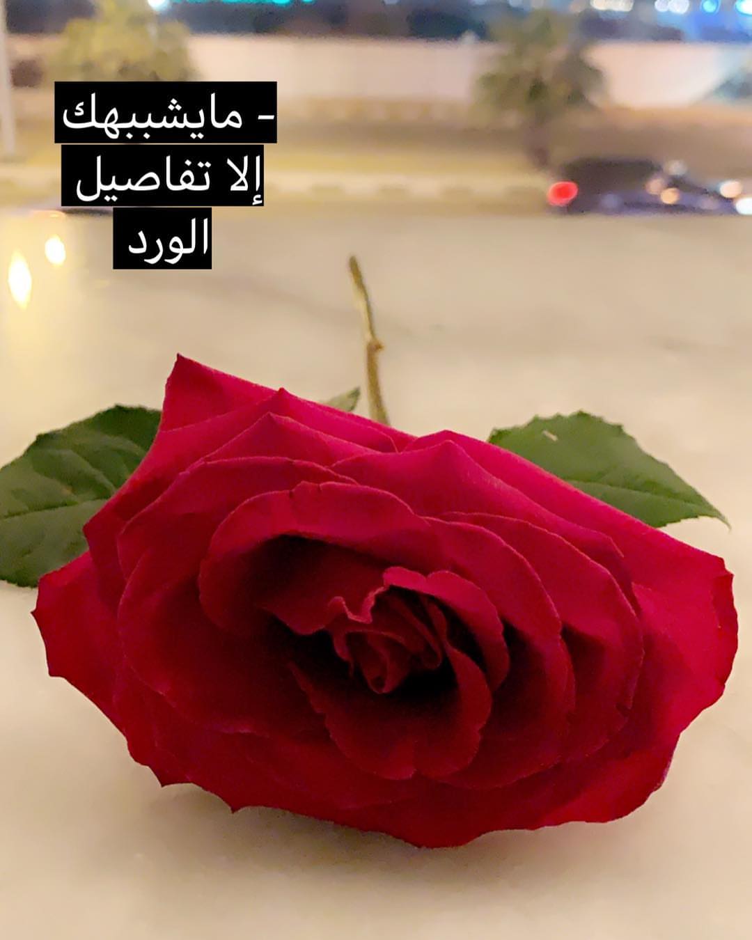 ❤️بعض الاشخاص يضفي على حياتنا جمال ❤️
