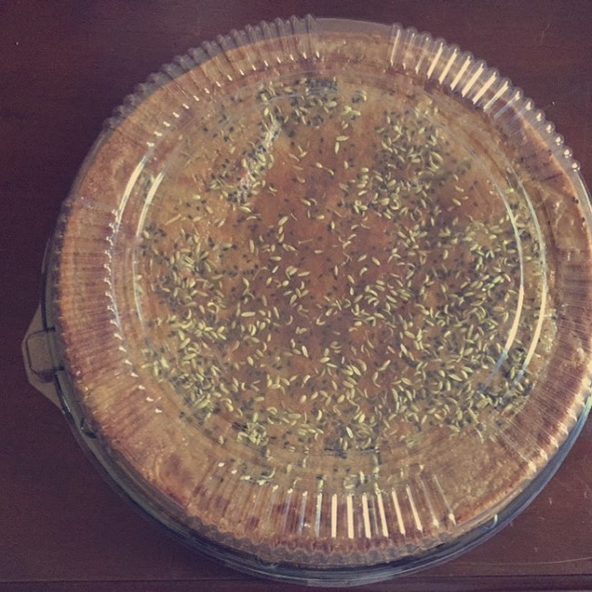 كيكة الدخن اللذيذة والطرية جربوها ماراح تندمون♥️♥️ الطلب قبلها بيوم 50 ريال..