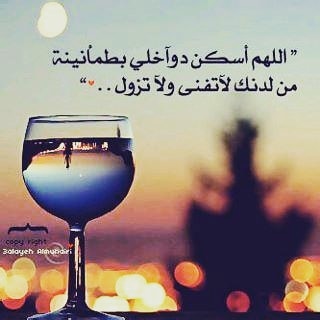 كوسا بالنعناع