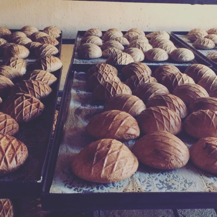 كليجا زمان بالهند ♥️ #كليجا #كليجا_القصيم #كليجا_قصيميه #كليجا_دبس