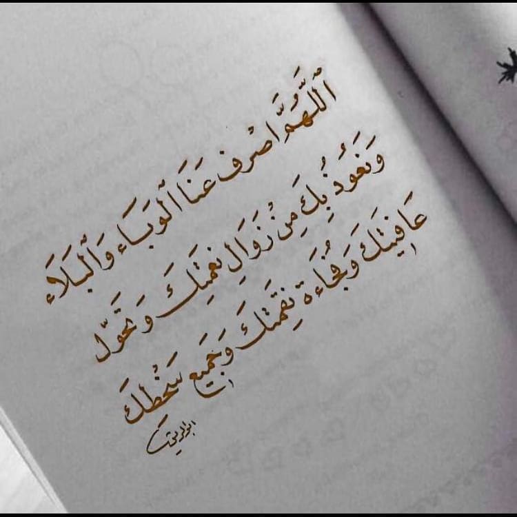 .#حلويات #حلى #فطيرة_تفاح #فطاير #طبخ #دعم_تاجرات #الرياض #قهوة #حلا #مناسبات #تجهيزات #تف