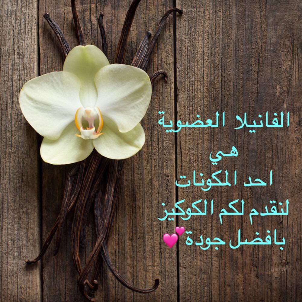 نخبز بكل حب