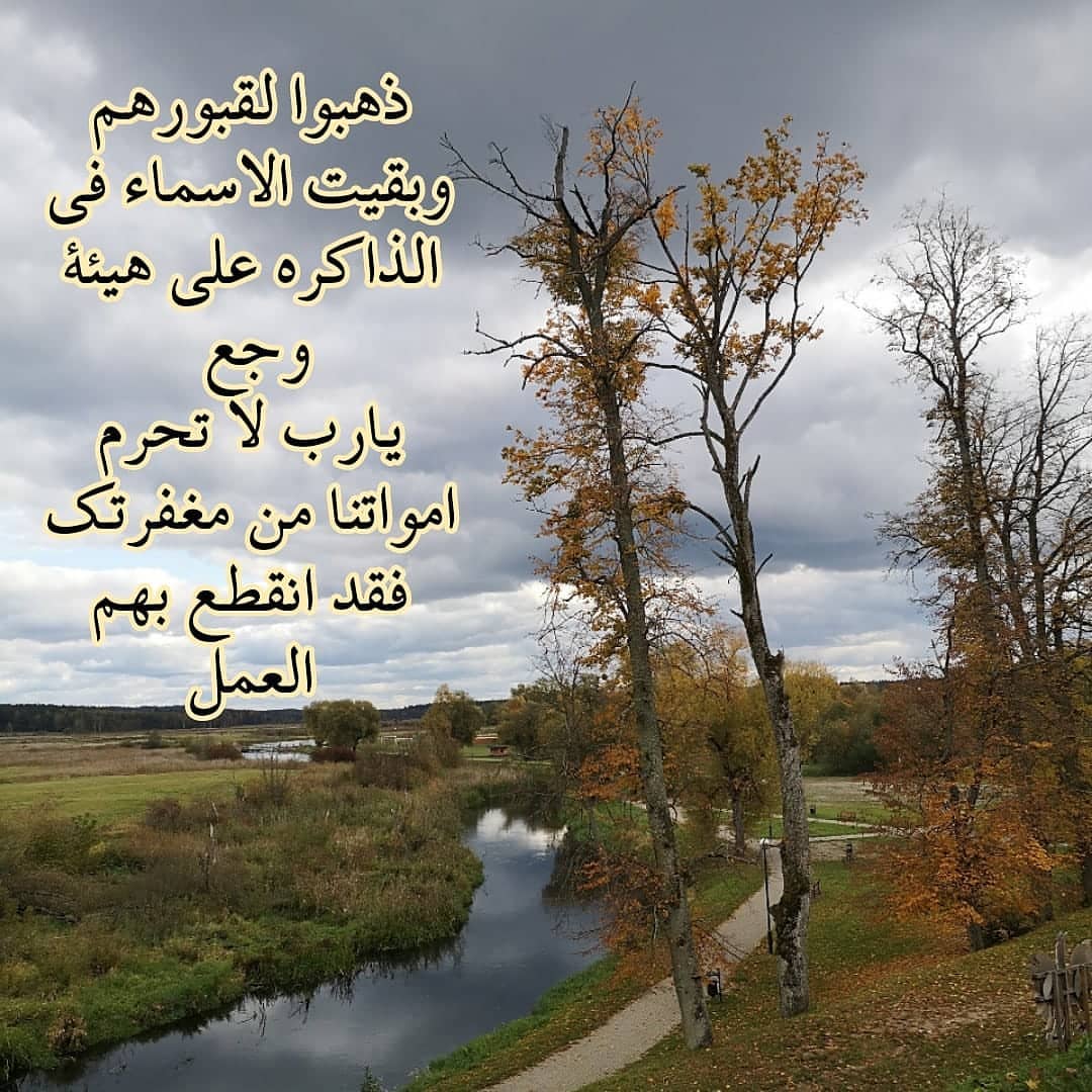 اللهم امين