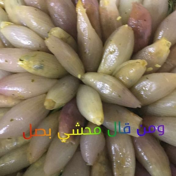 محشي بصل متوفر قهوة مزنه لاسقنتشورا الدوادمي شقرا #الرياض_الان #الرياض#محاشي#ورق_عنب #الدو