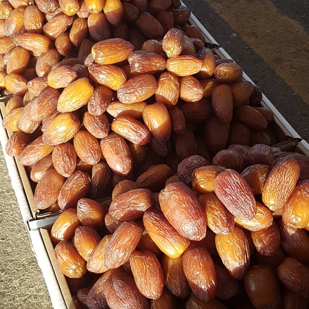 مجدول فاخر