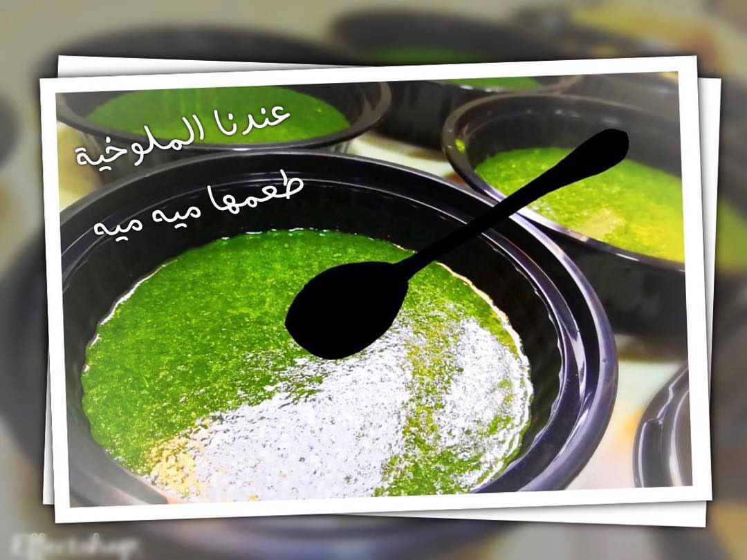 اخر موعد لاستقبال طلباتكم على وجبة الملوخيه الشهيه غدا الساعه ٥ عصر يوم السبت ( ملوخية ميه