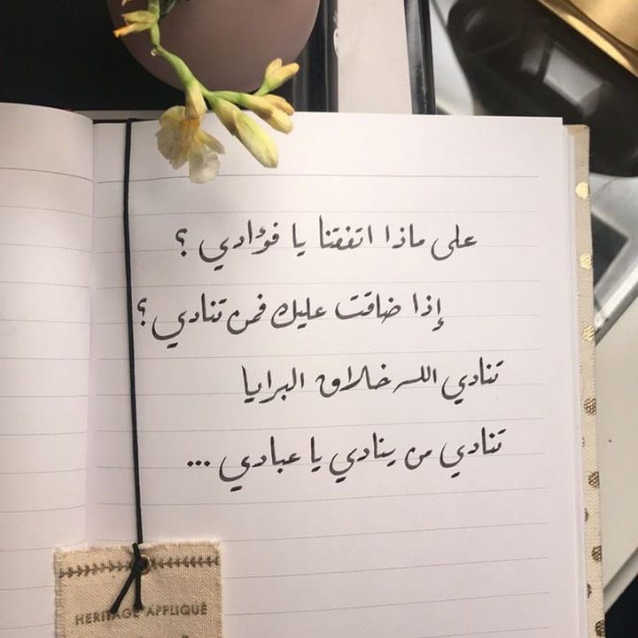 تارت الاوريو #لذيذ #savory