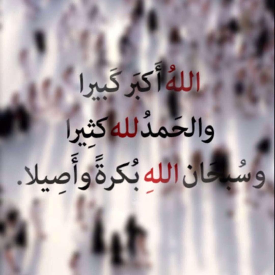 الله اكبر الله اكبر #حج#مكه#المدينه#النوره