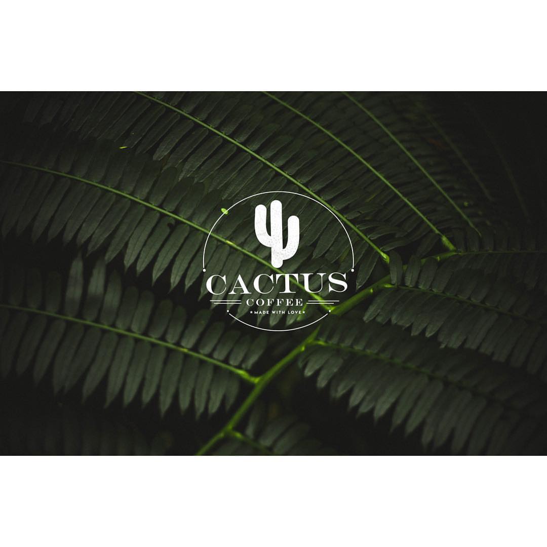 A new product for summer by Cactus. Soon