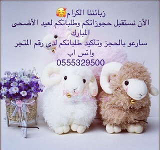 بدأنا باستقبال حجوزات عيد الأضحى المبارك سارعو بالحجز