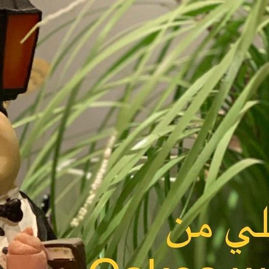 #ميني _تشيزكيك_اللوتس #كيك #كورونا #جائحه # فيروس_كورونا #وباء #كوكيز #تشيزكيك #سويت #حفلا