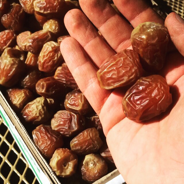 جلكسي فاخر ٣كيلو #تمورنا_ذهب #تمور_القصيم #تمور_عنيزة #القصيم #سفر #غذاء_صحي #بريدة #الريا