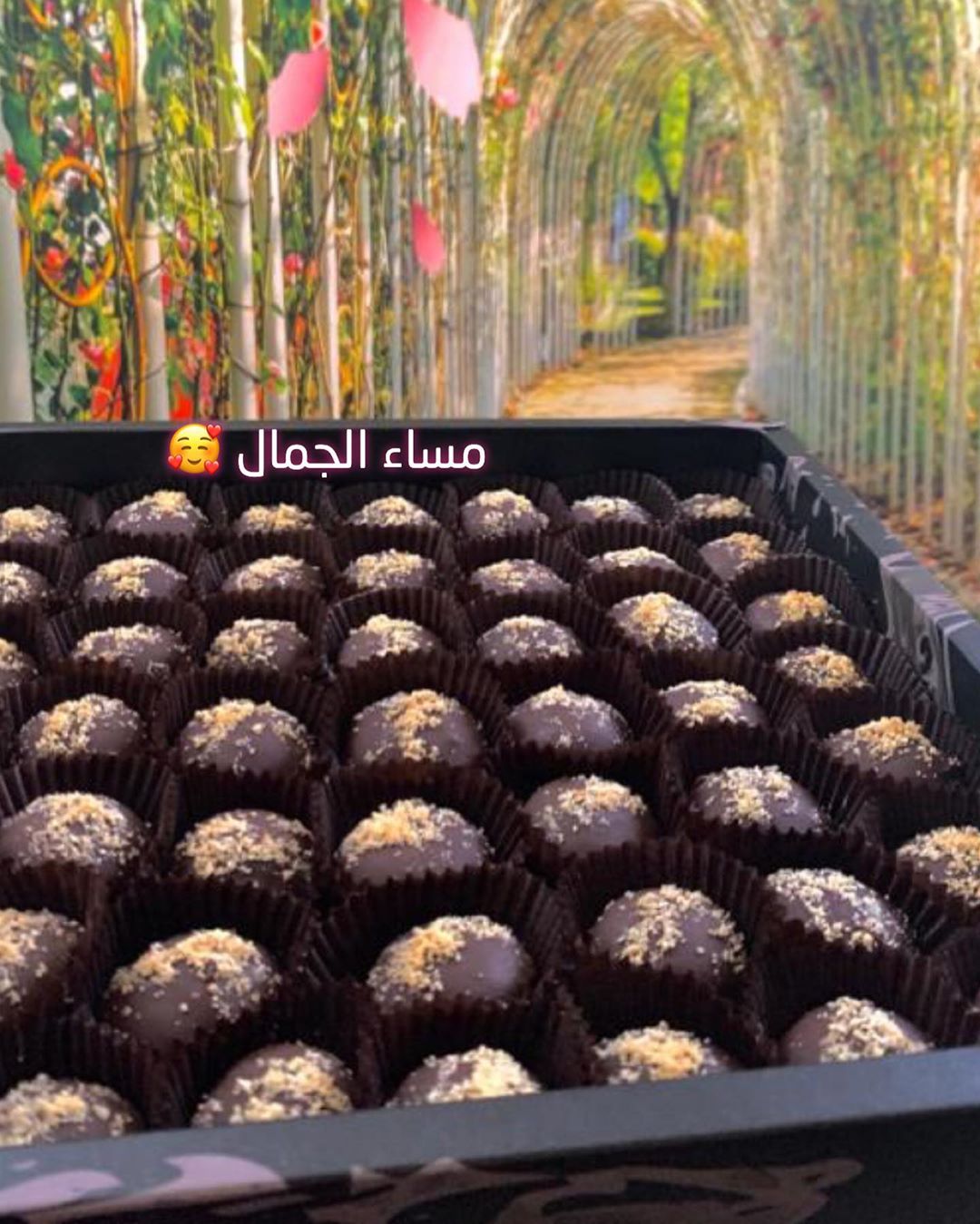 يمكنكم اختيار حشوتكم المفضلة . . . . . #glucci #قلوتشي #تشيز_البستاشيو #البستاشيو #مارون #