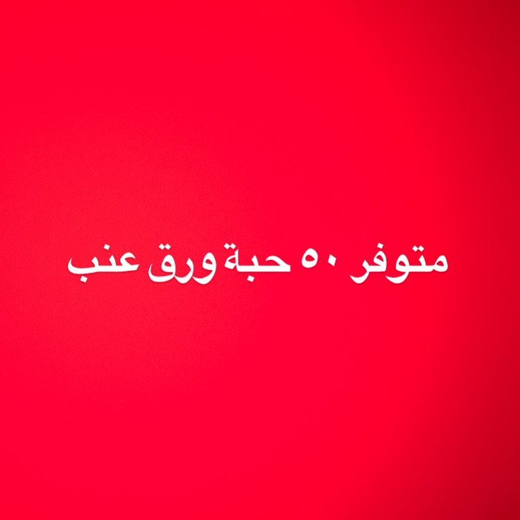 تسليم فوري