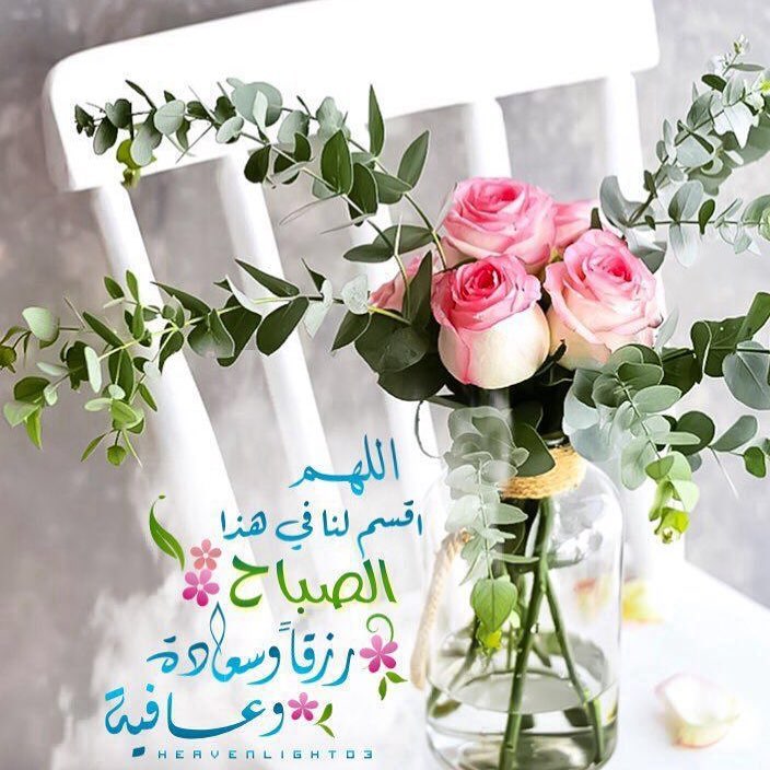 لطلب بالخاص او الواتس. التوصيل مجانا لسكان المذنب