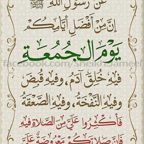 لطلب بالخاص او الواتس. التوصيل مجانا لسكان المذنب