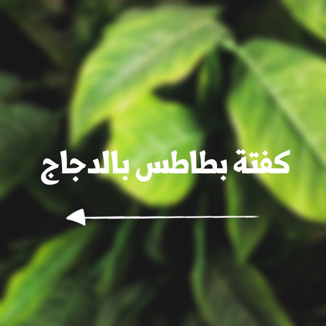 - كفتة بطاطس بالدجاج