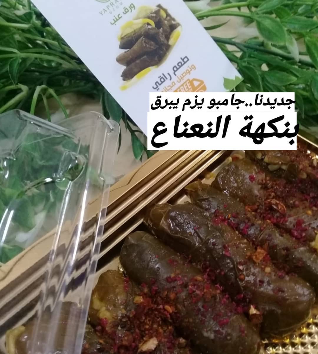 جديدنا .. جامبو يزم يبرق بنكهة النعناع متوفر في بوثاتنا.. في مهرجان فرحة وطن عزيز مول السا