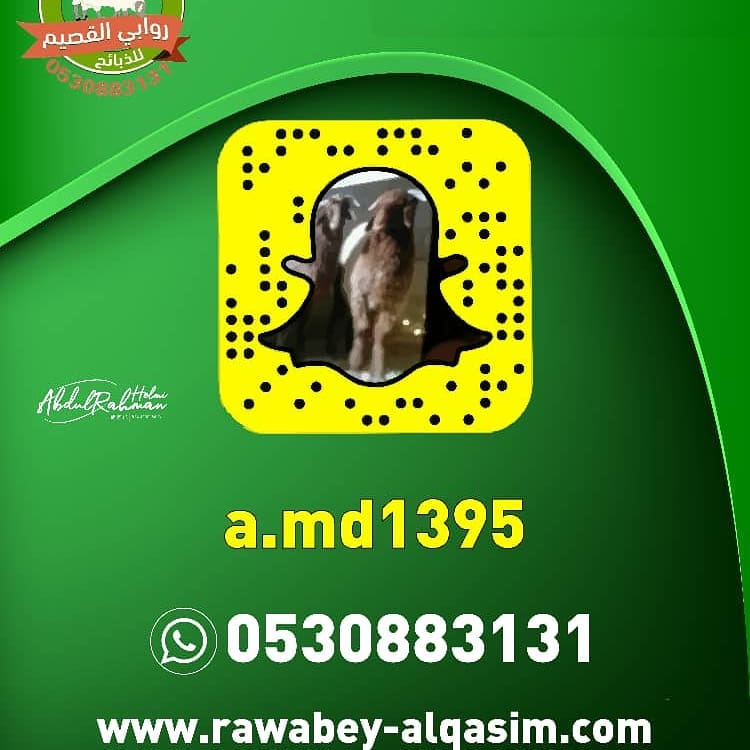 2056063876470723687_