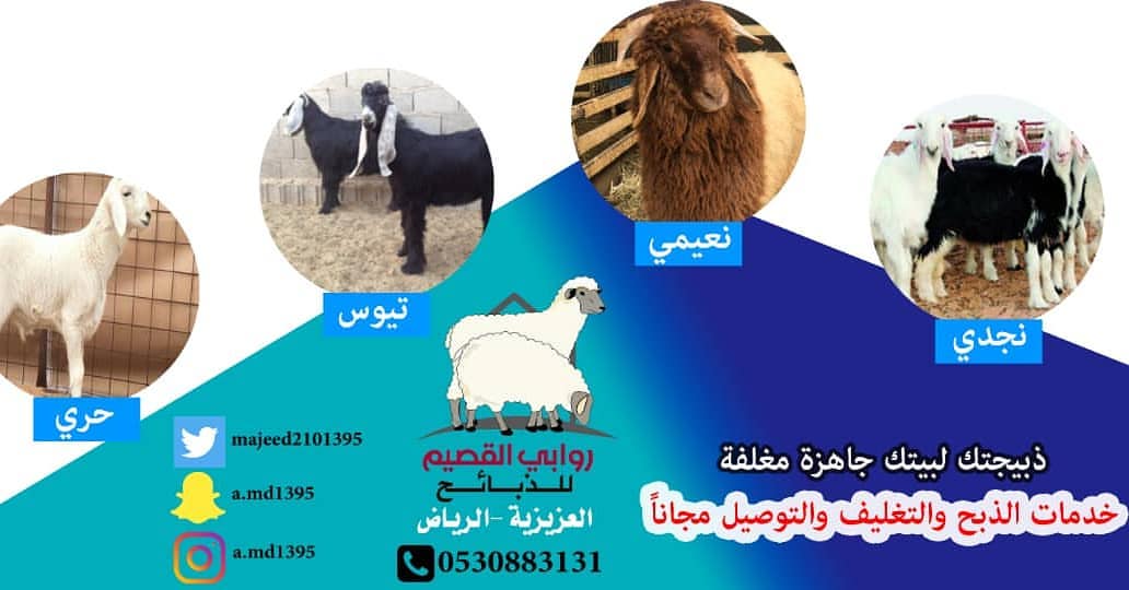 1814458641044463145_