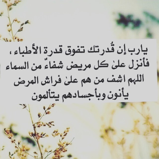 الطلبيات جاهزة للتسليم