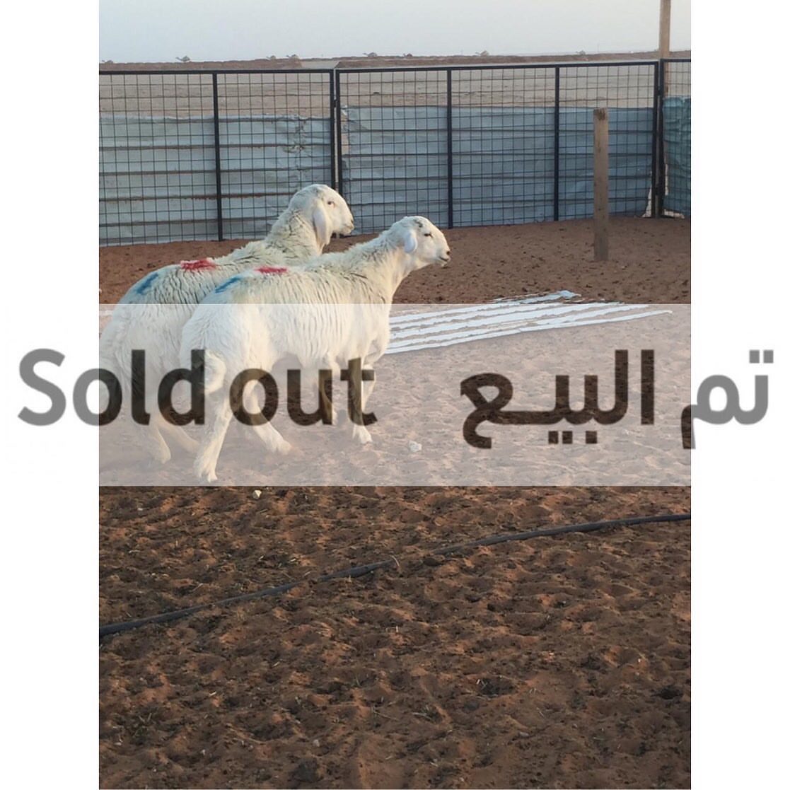 شكراً لثقتكم زبائننا الكرام ❤️ كما يسعدنا خدمتكم في مدينة #الرياض #السعوديه تواصلوا معنا ع