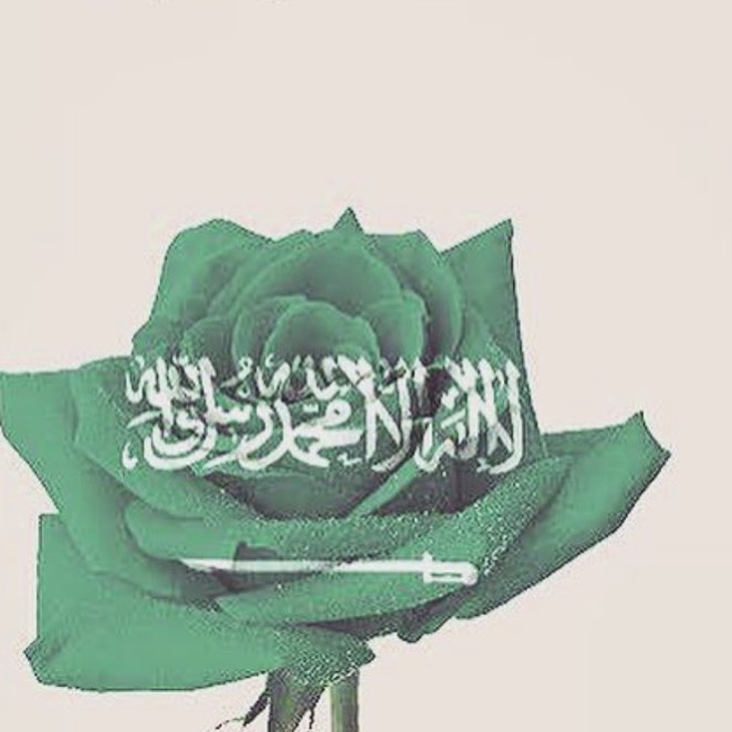 فوق هام السحب يا أغلئ وطن ..✨ . . #اليوم_الوطني #عروض_اليوم_الوطني #الملك_سلمان #المملكة