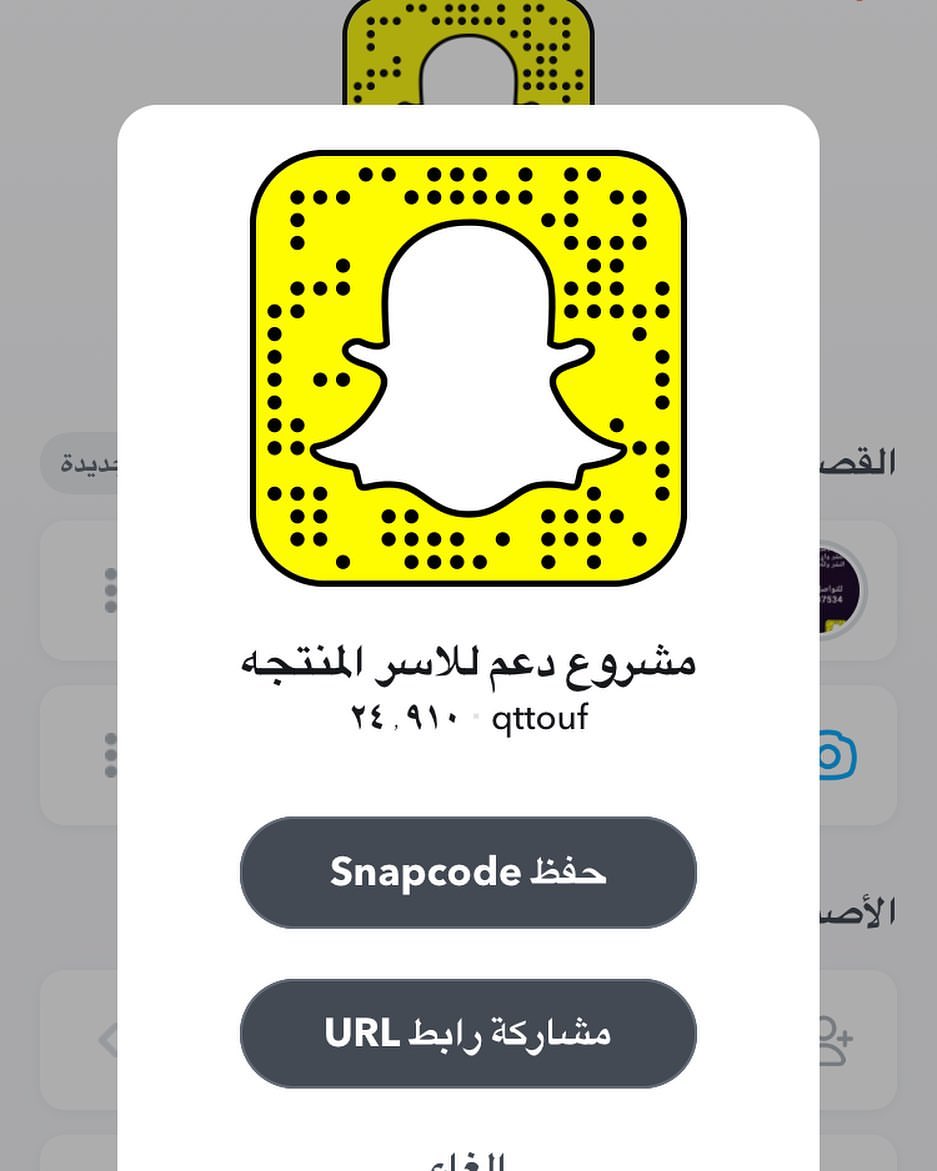 دعم الأسر المنتجه