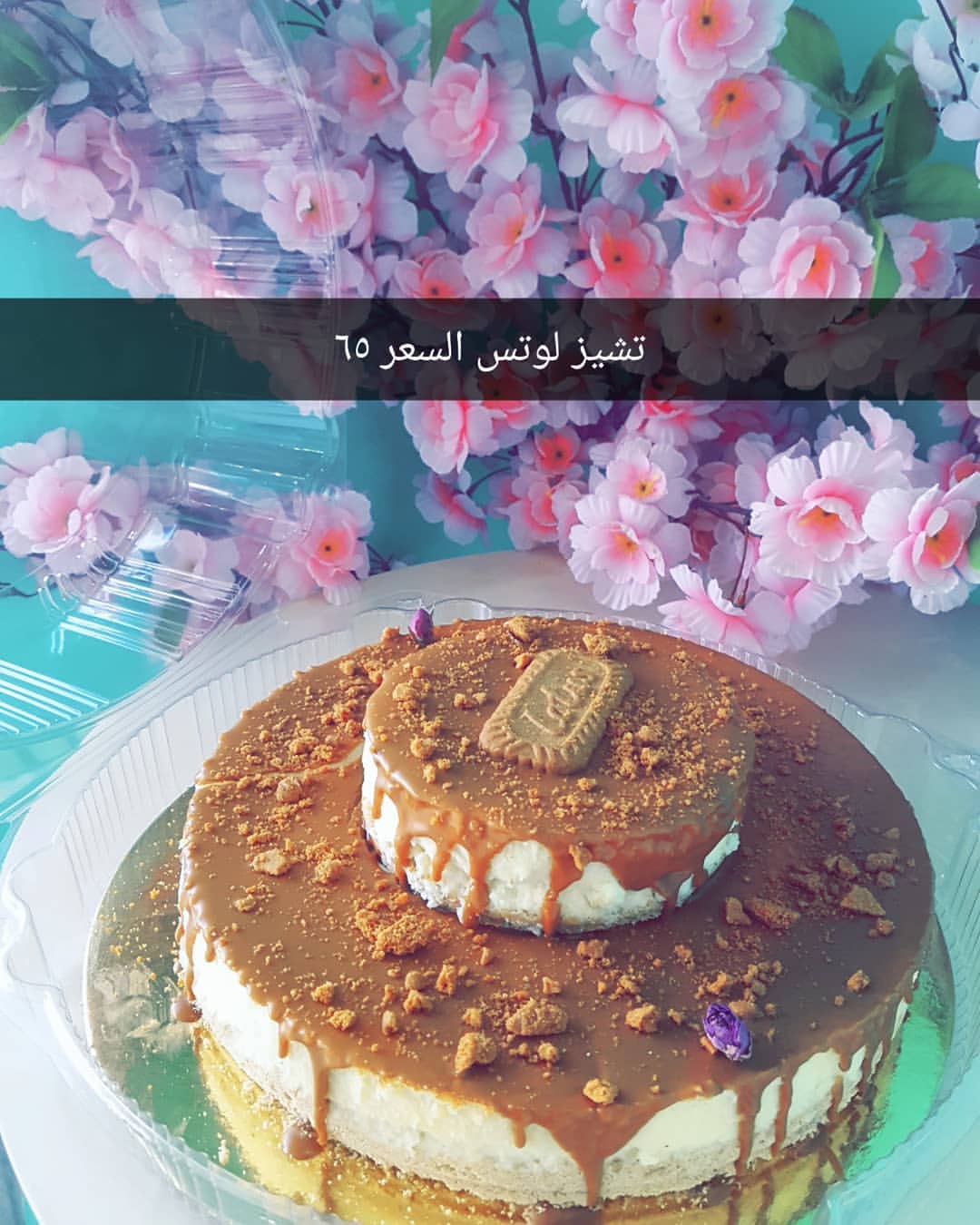 تشيز لوتس السعر ٦٥