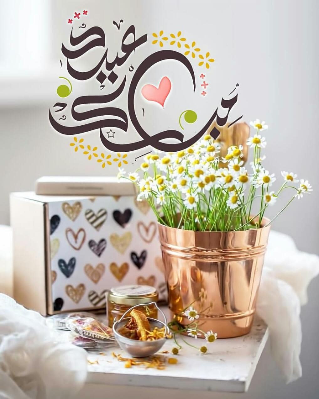 مورينقا عضويه